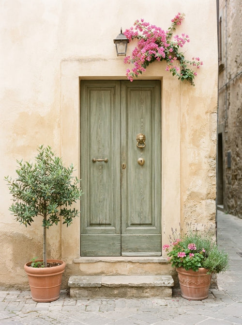 Italian Door Print artwork
